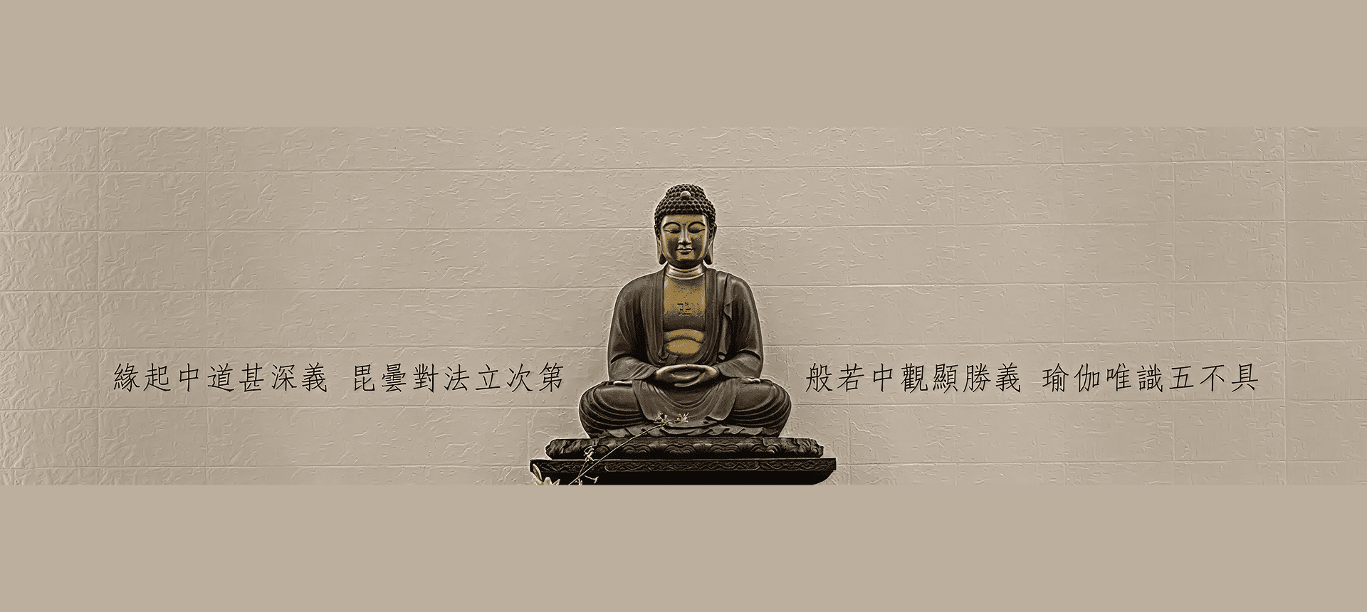 Serene Buddha statue on textured wall